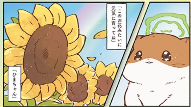 ひまちゃん