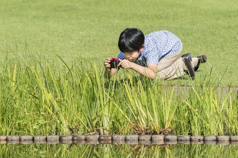 少年時代