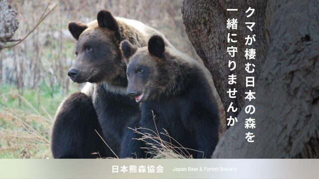日本熊森協会